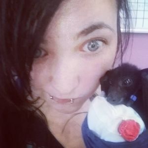 Meet your Posher, Sydney